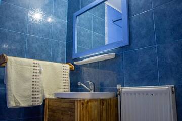 Фото номера Двухместный номер с 2 отдельными кроватями Гостевой дом Surasul Muntelui г. Dragoslavele 21
